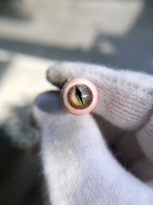 Brown Eyeball Stud Earrings