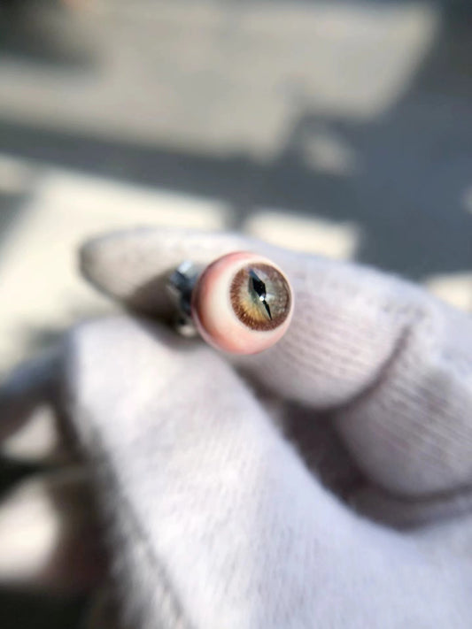 Brown Eyeball Stud Earrings