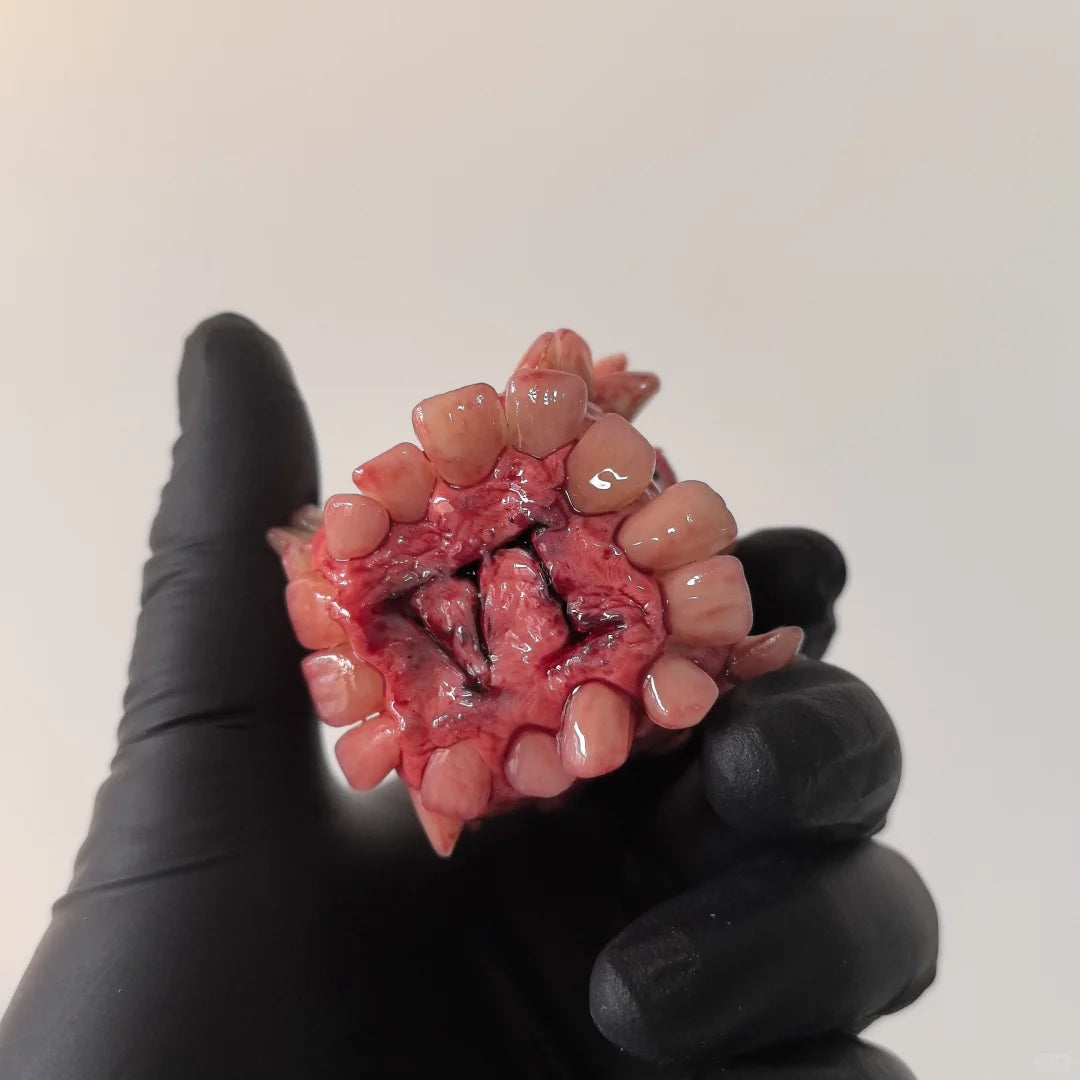 Roman Numeral Teeth Dice Ornament