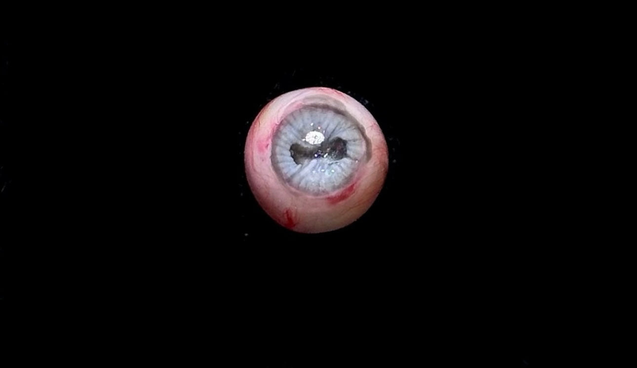 Eyeball Stud Earrings