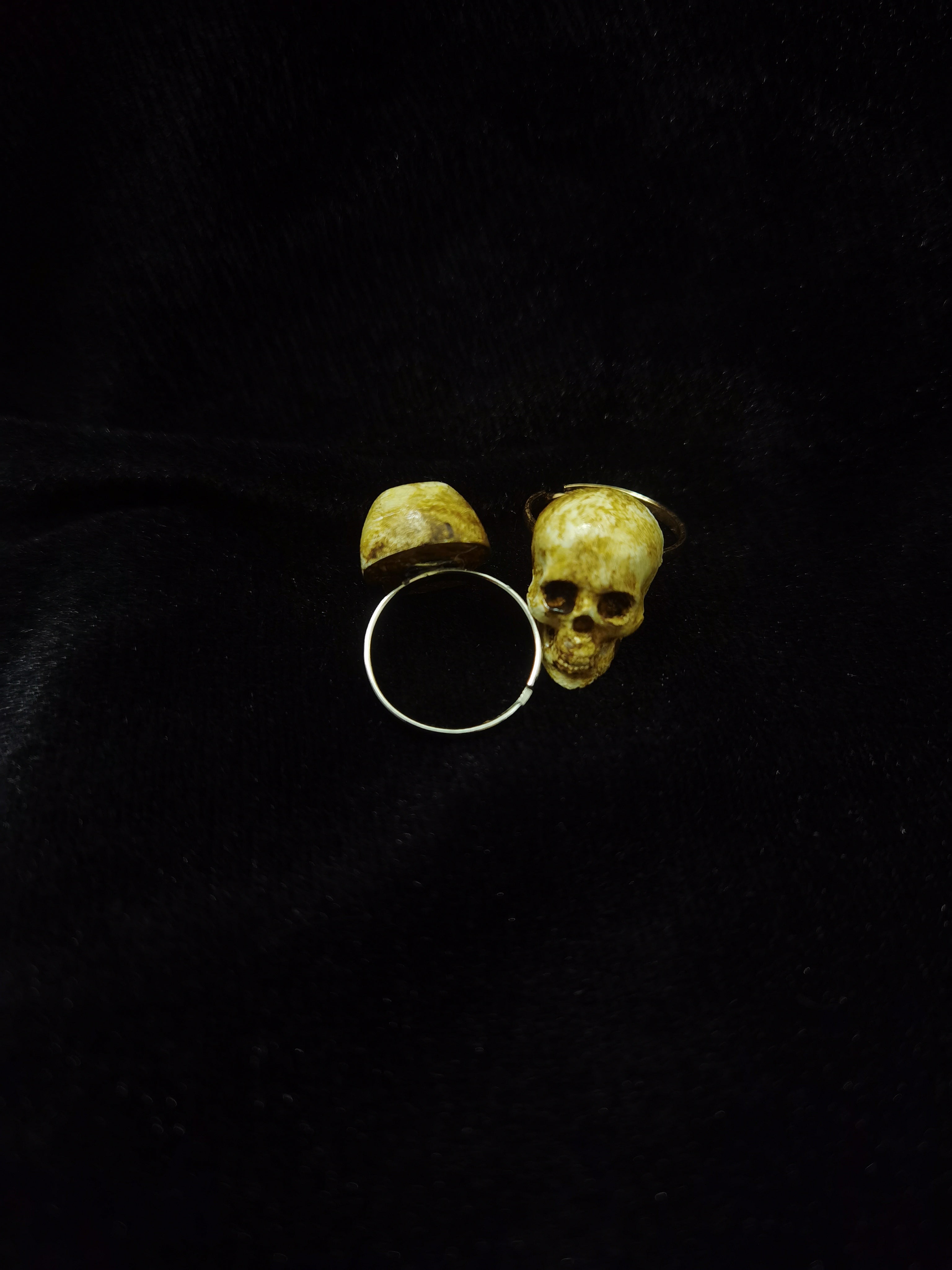 "Bone Bond" Skull Ring